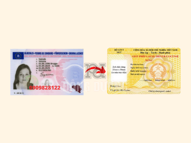Đổi bằng lái xe Bỉ sang Việt Nam
